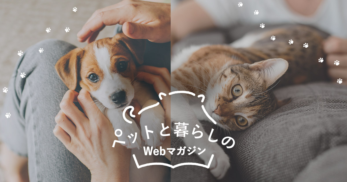 ペットと暮らしのwebマガジン 日本ペットフード